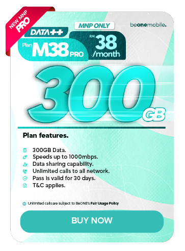 M38 Plan
